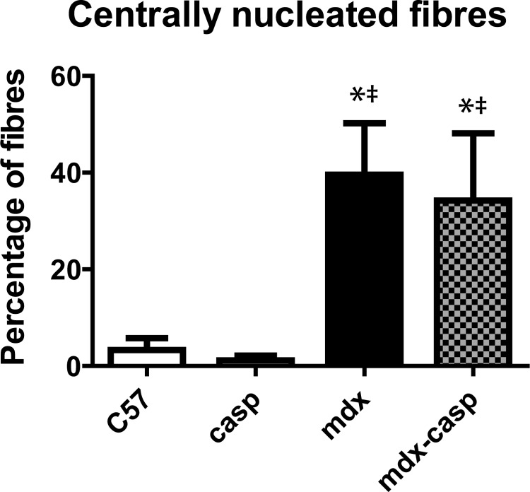 Figure 12.