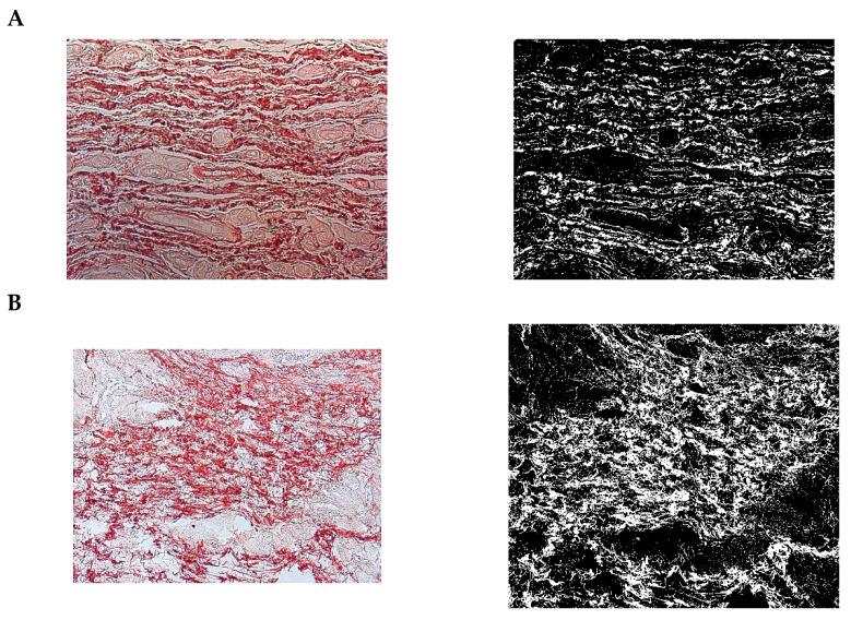 Figure 21
