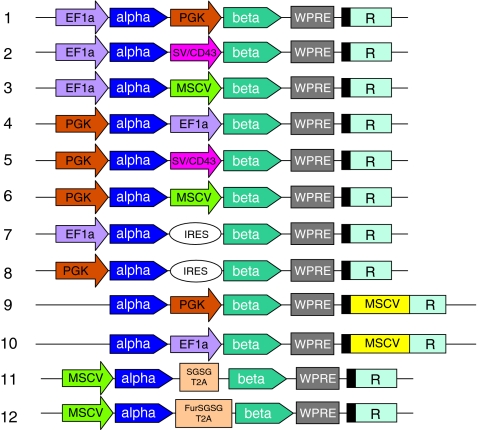 FIG. 3.