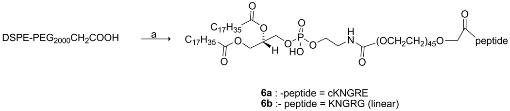 Scheme 4