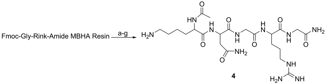 Scheme 2