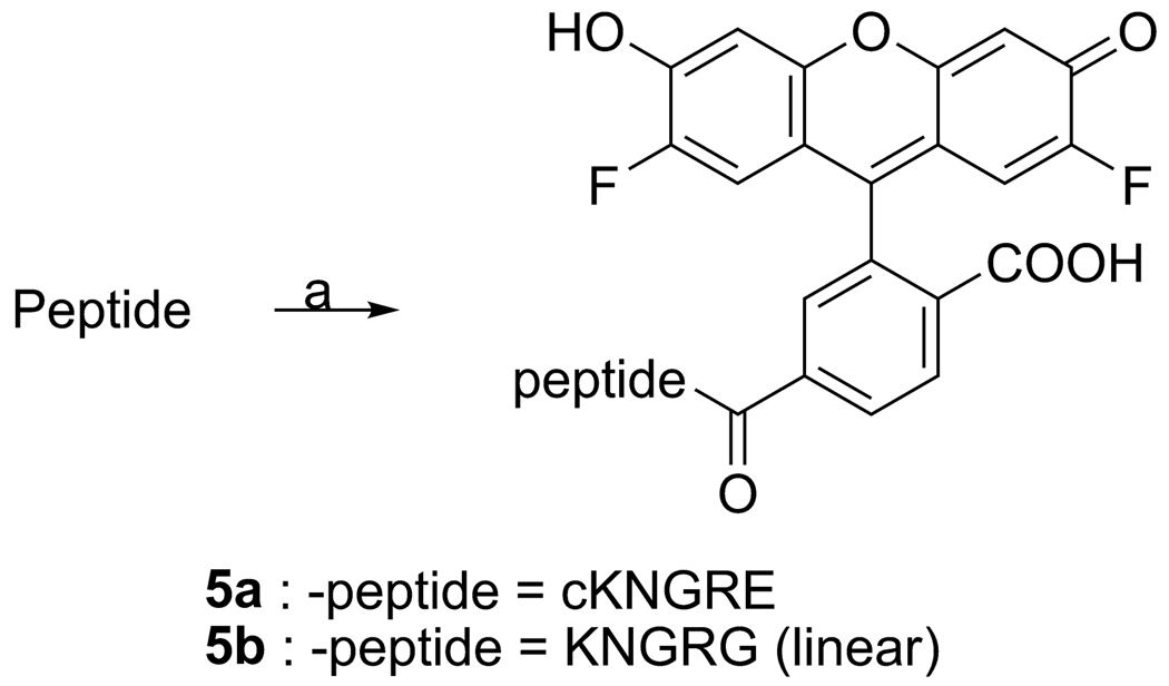 Scheme 3