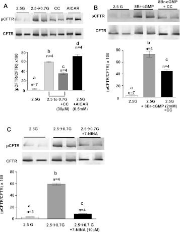 Fig. 8.