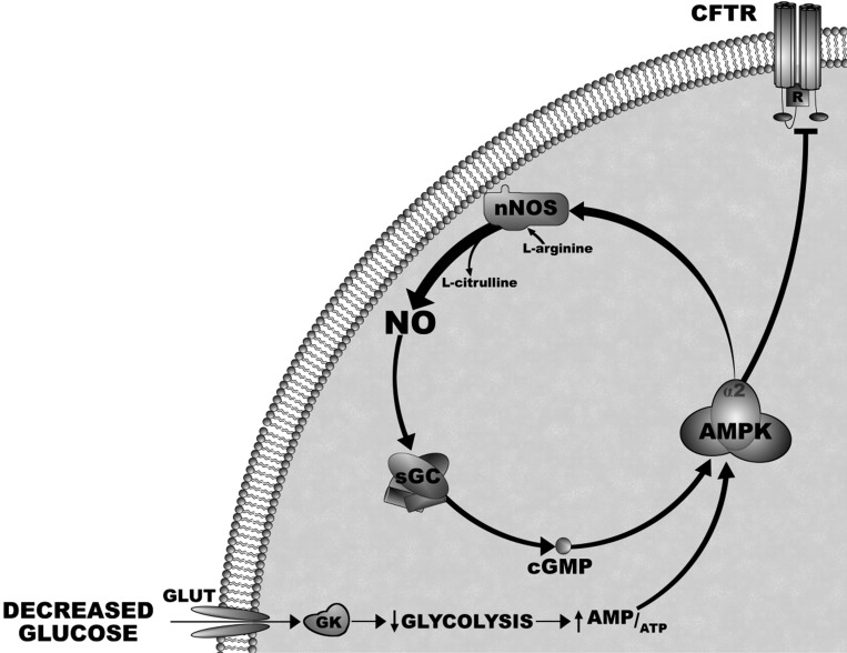 Fig. 9.