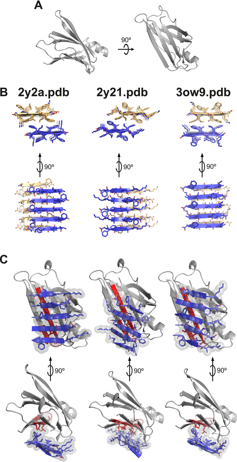 Figure 2.