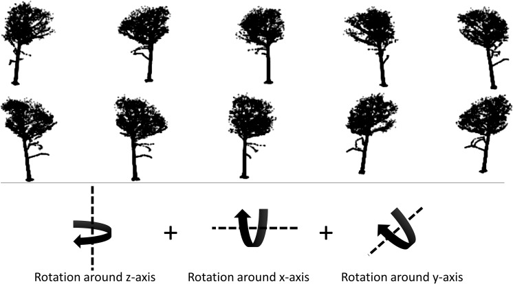 FIGURE 3