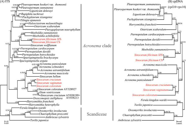 Figure 5.