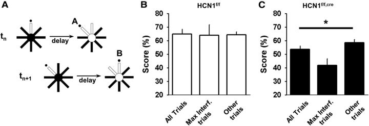 Figure 10.