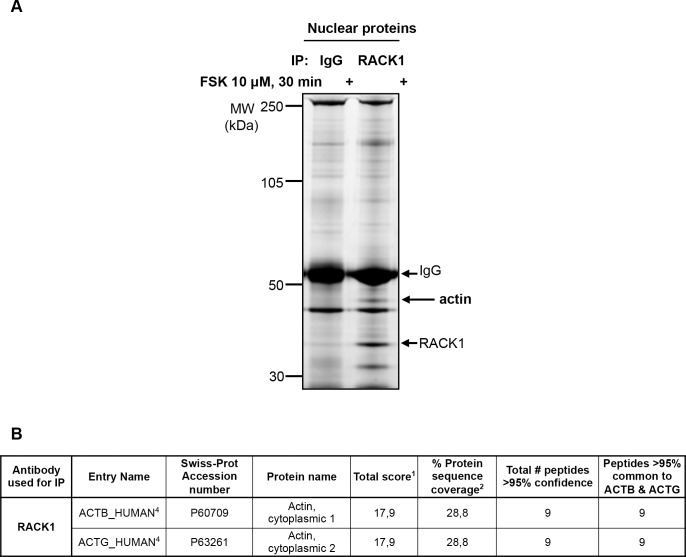 Fig 5