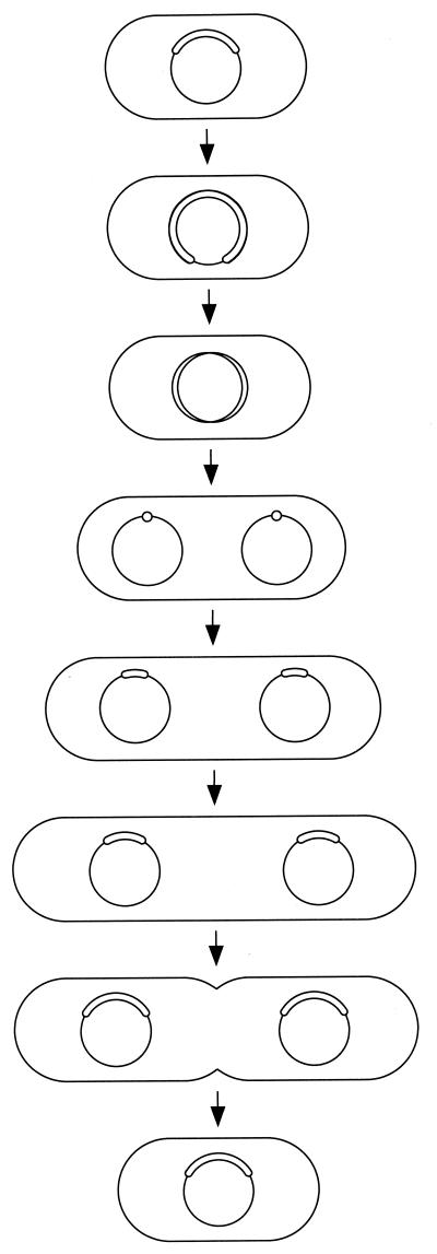 FIG. 10