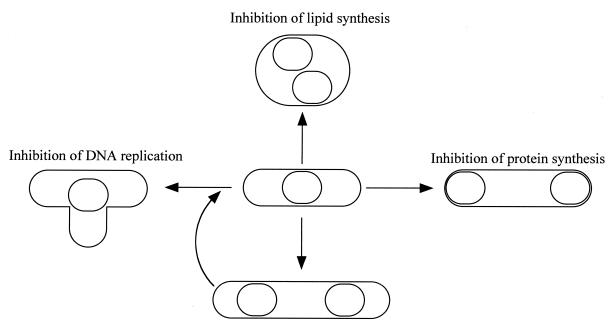 FIG. 9