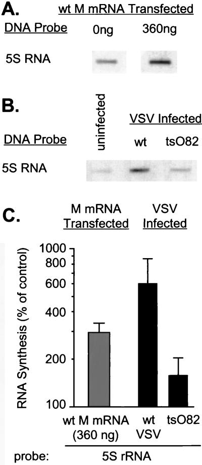 FIG. 5