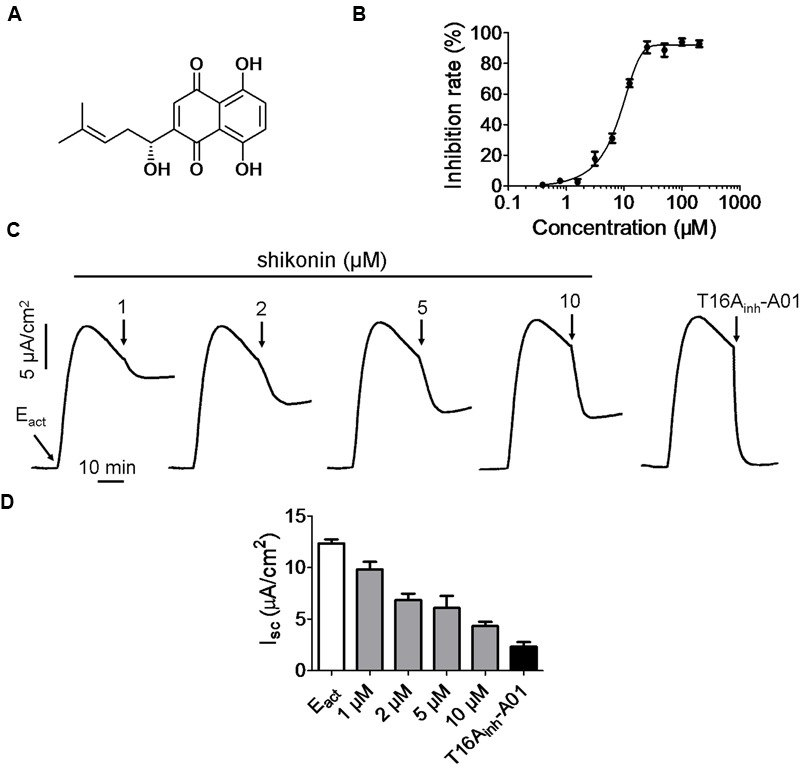 FIGURE 1