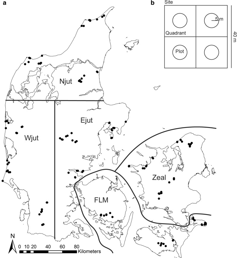 Fig. 1