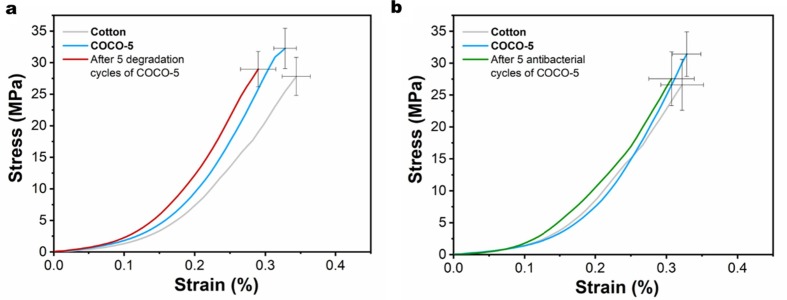 Fig. 10