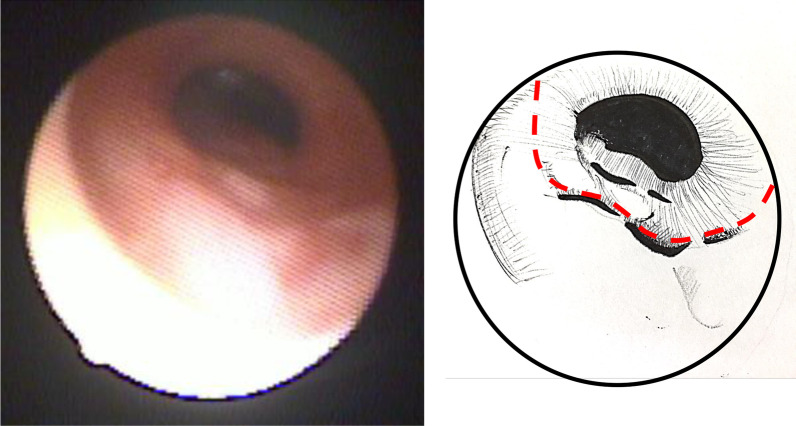 Fig. 6