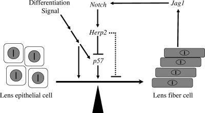 FIG. 10.