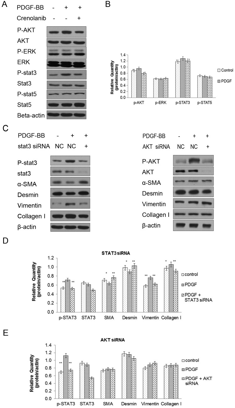 Fig 5