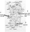 FIG. 1