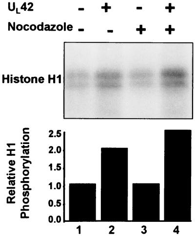 FIG. 6