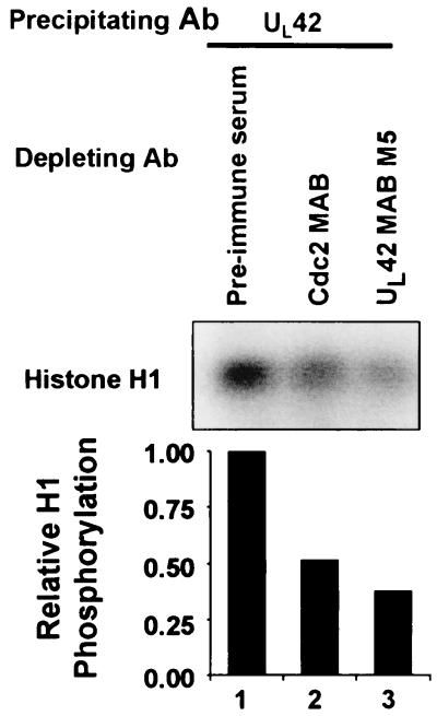 FIG. 5