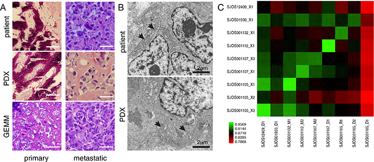 FIGURE 2: