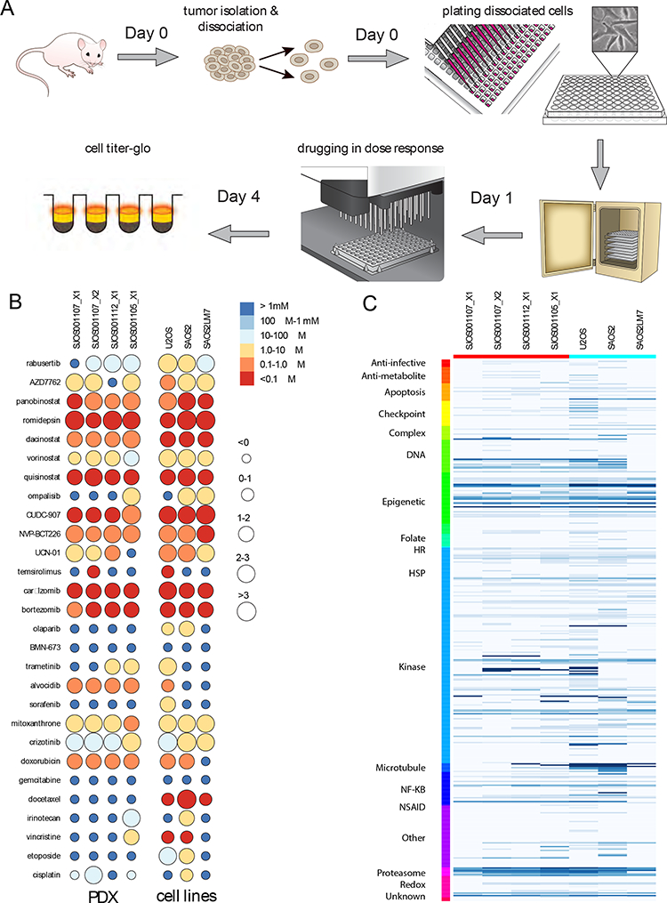 FIGURE 4: