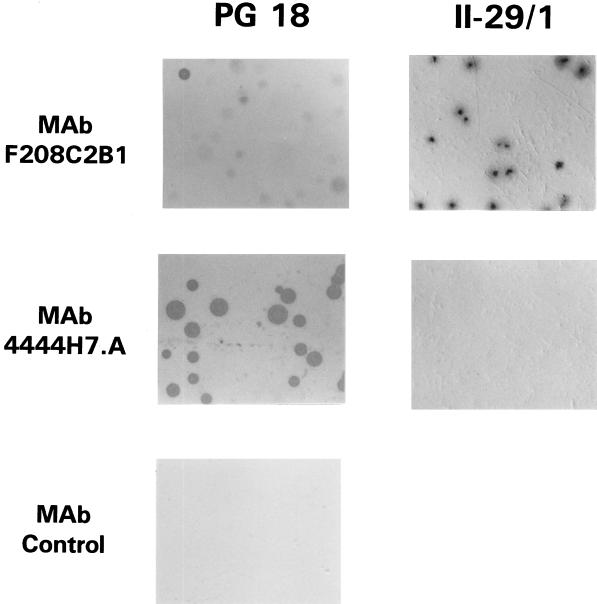 FIG. 6