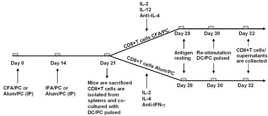 FIG. 1.