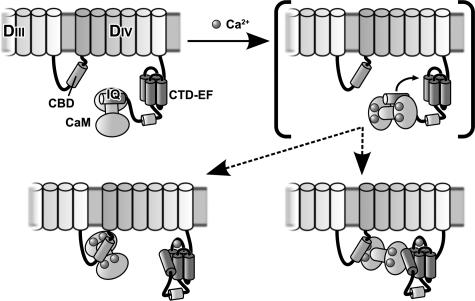 FIGURE 6.