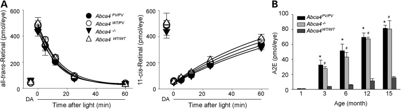 Figure 9.