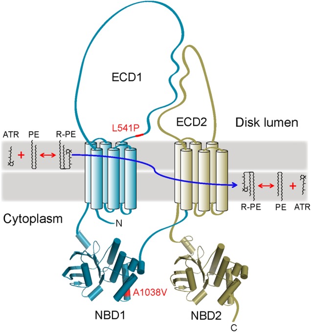 Figure 1.