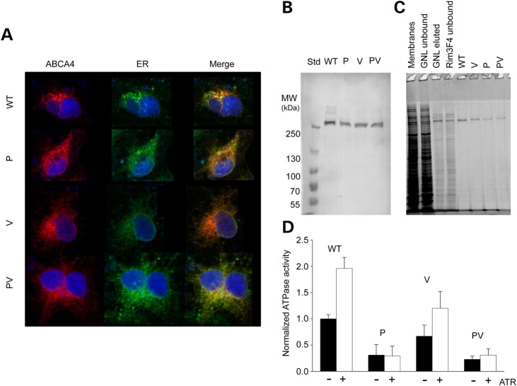 Figure 3.