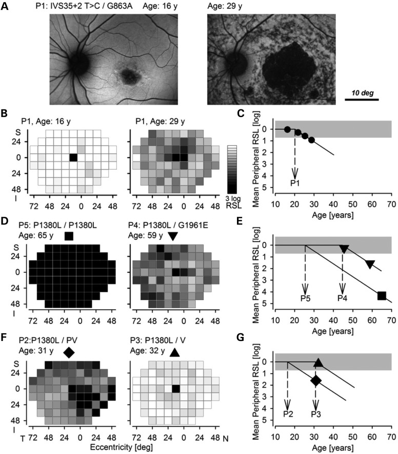 Figure 2.