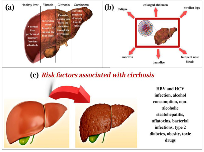 Fig. 10