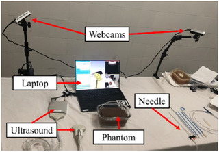 FIGURE 1