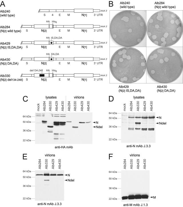 FIG. 4.