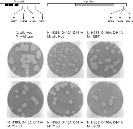 FIG. 3.