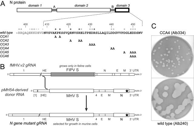 FIG. 1.