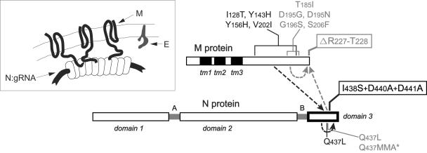 FIG. 7.