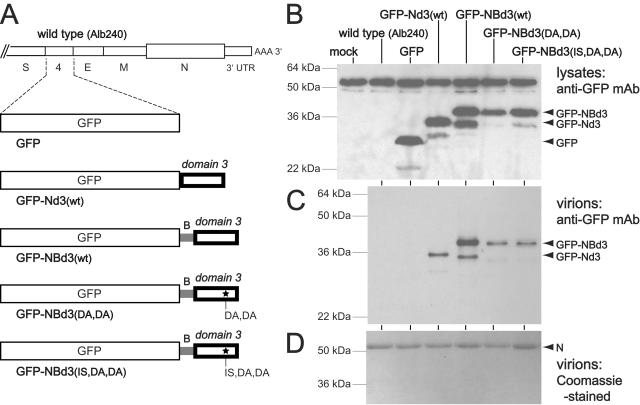 FIG. 6.