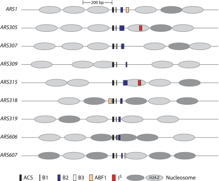 Figure 7.