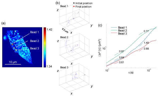 Fig. 6