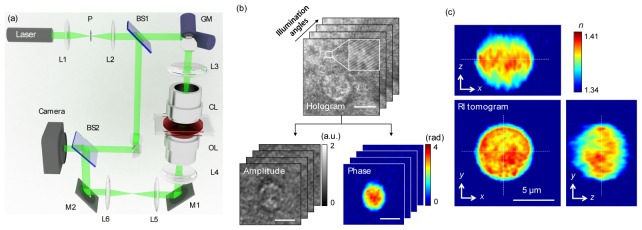 Fig. 1