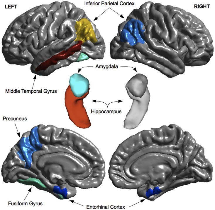 Fig 4