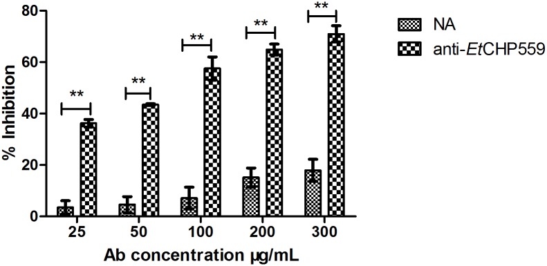 Fig 5