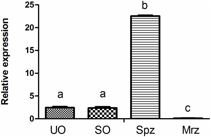 Fig 2