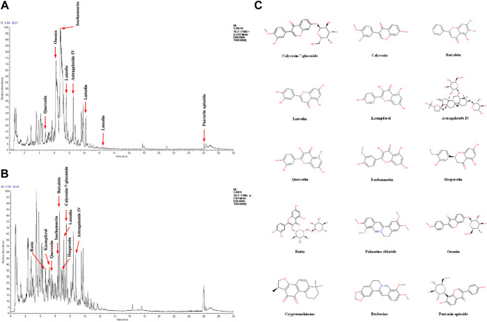 FIGURE 1