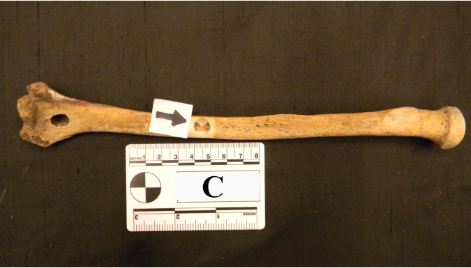 FIG 6
