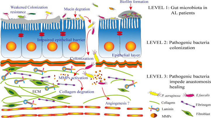 Figure 2